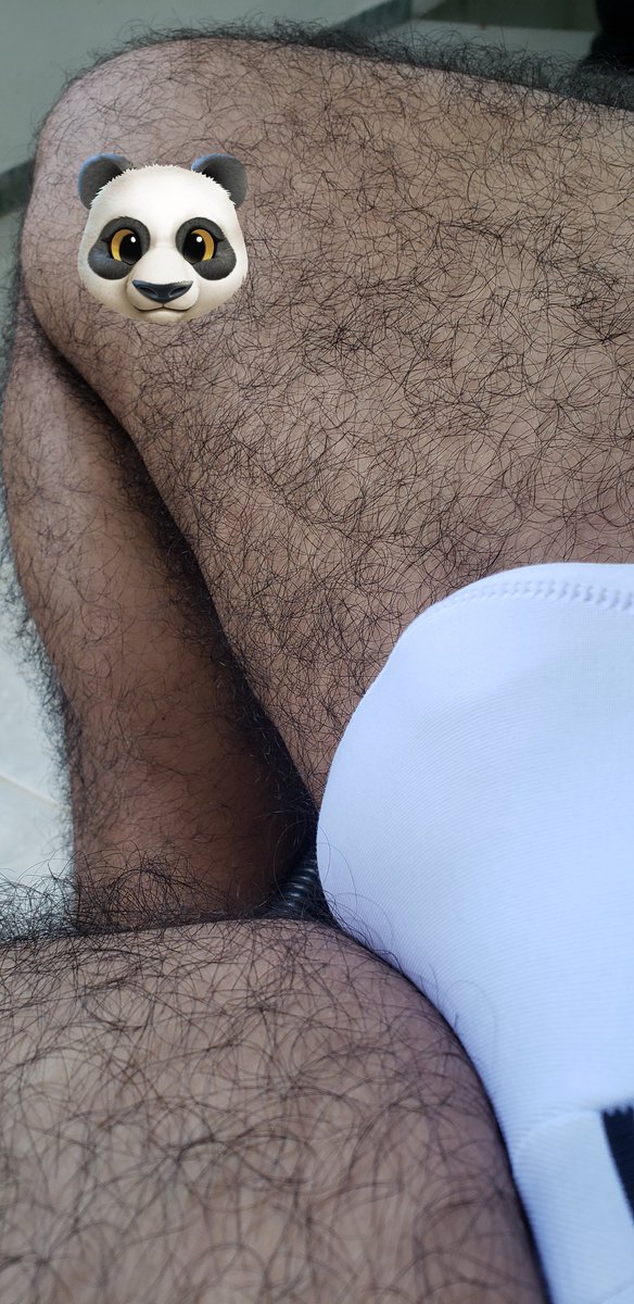 Pandabear🐼 tweet media