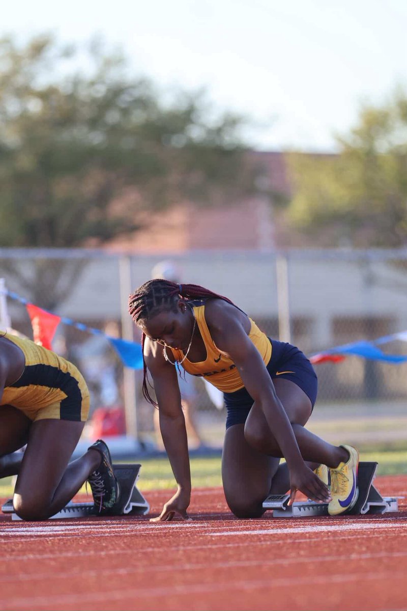 Allanah Shepherd tweet media