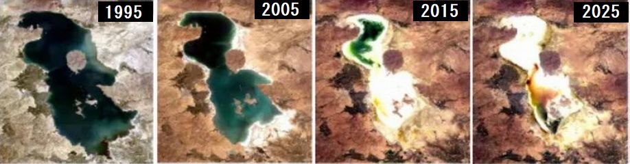 六衛府 tweet media