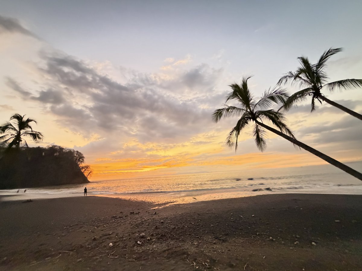 𝓣𝓪𝓱𝓲𝓻𝓲̈ 𝓧 tweet media