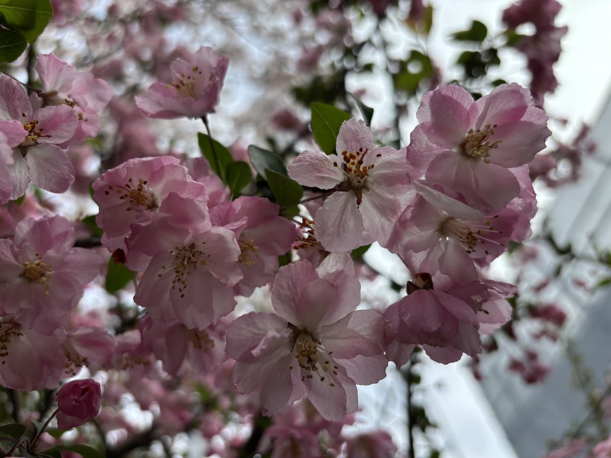 すっぱか@PUBG垢 tweet media