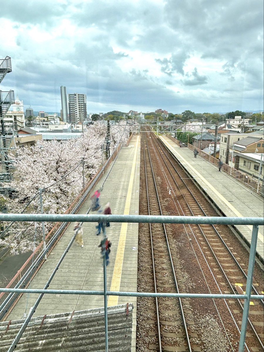 あさひ tweet media