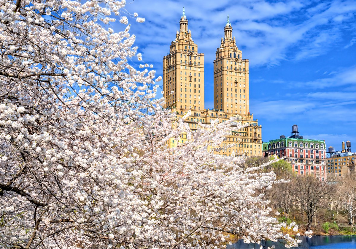 Inga Sarda-Sorensen tweet media