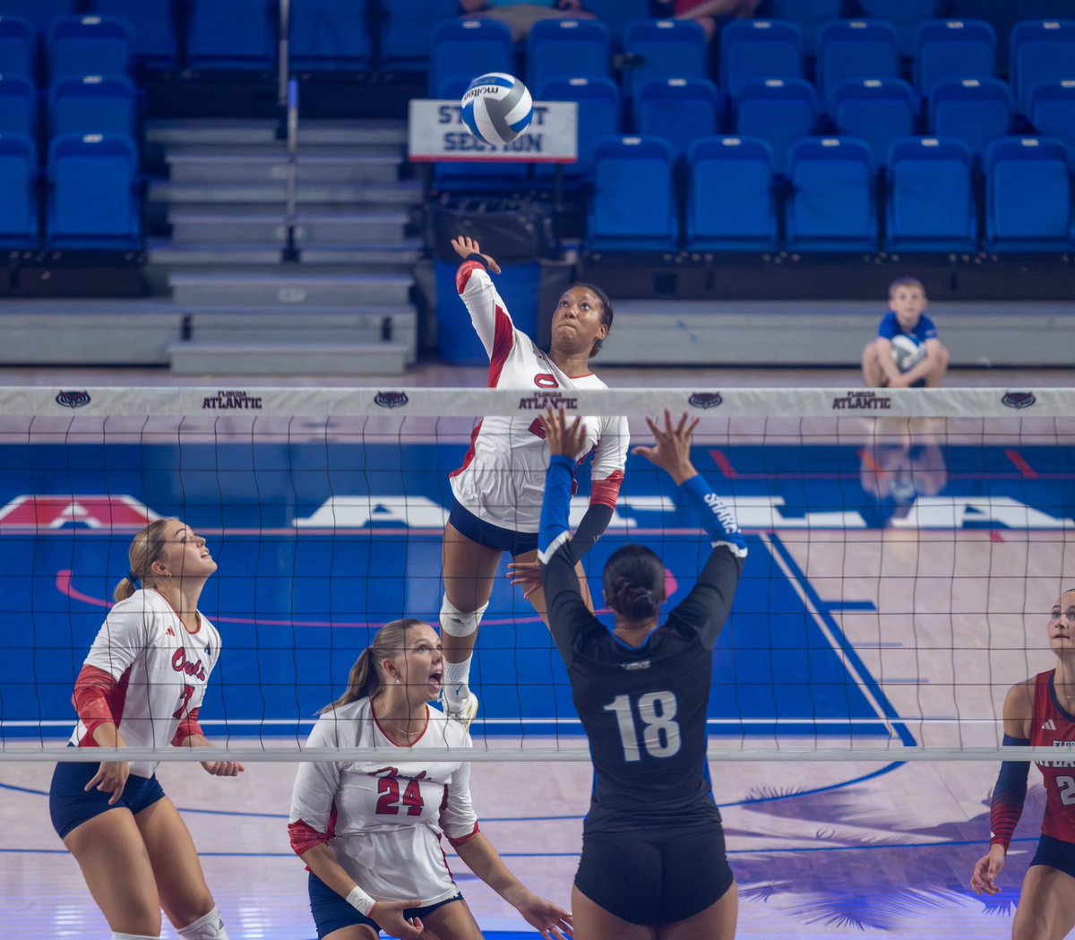 Florida Atlantic Volleyball tweet media