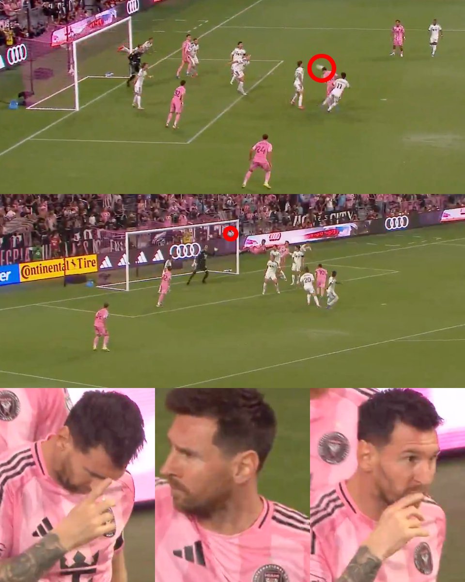 Invictos tweet media