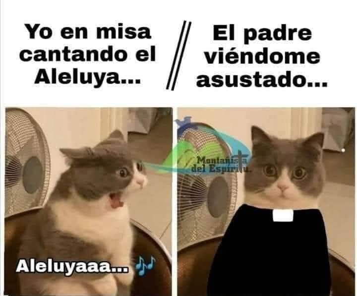 Sabueson tweet media