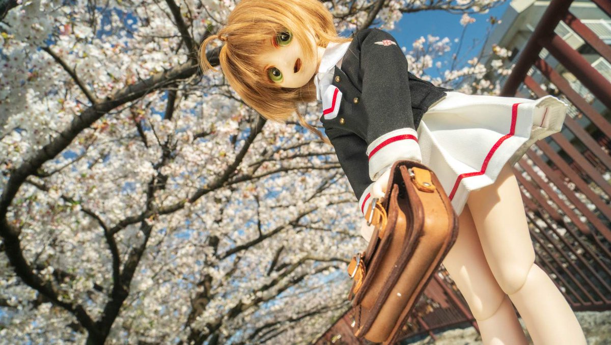 天空の桜
別アングル