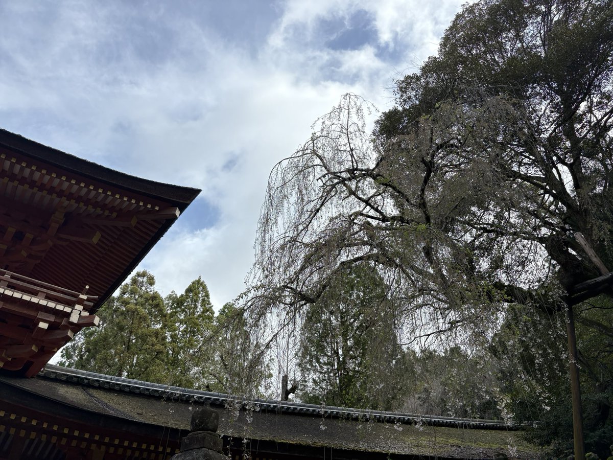 びっちー tweet media