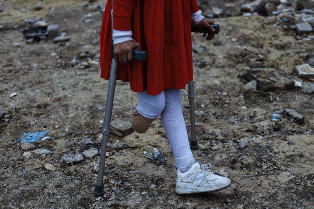 Gaza Notifications tweet media