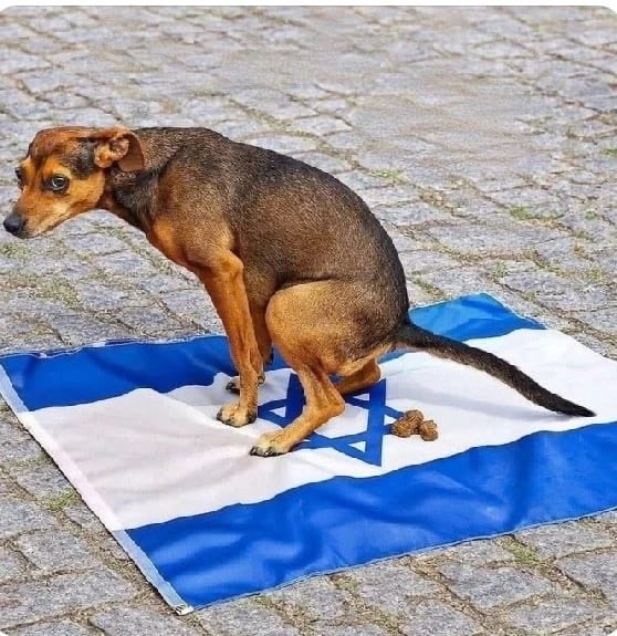 Good Morning tweet media