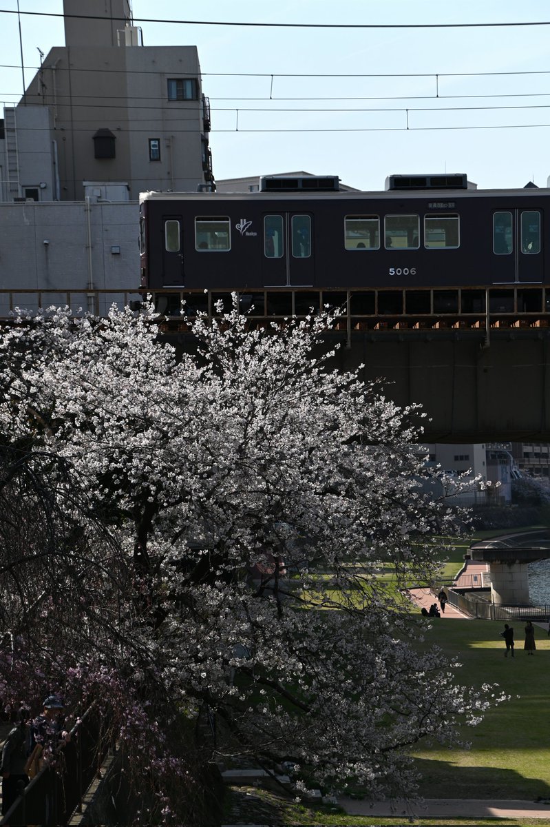 wao_camera's tweet image. 桜も今日が最後くらいかな🌸

Nikon D780
TAMRON 28-300mm F3.5-6.3 Di VC PZD
#Nikon一眼レフ
#Nikon_D780
#TAMRON 
#阪急電車 
#阪急電車と桜