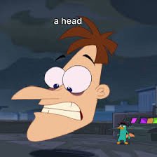 Peacokc 🦚 🎨 tweet media