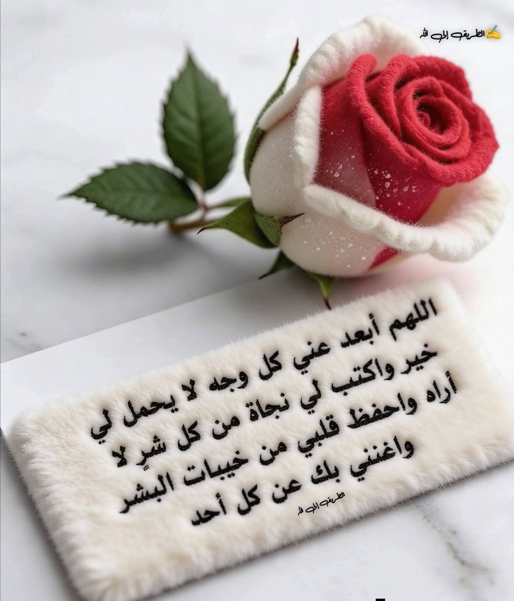 ShoSho ☕🍓💫 tweet media