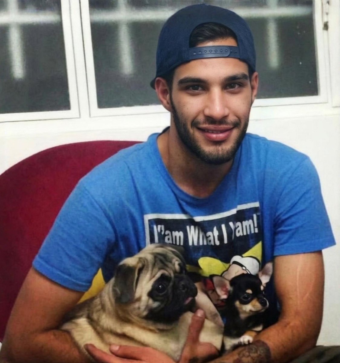 נועה מגיד | Noa magid tweet media