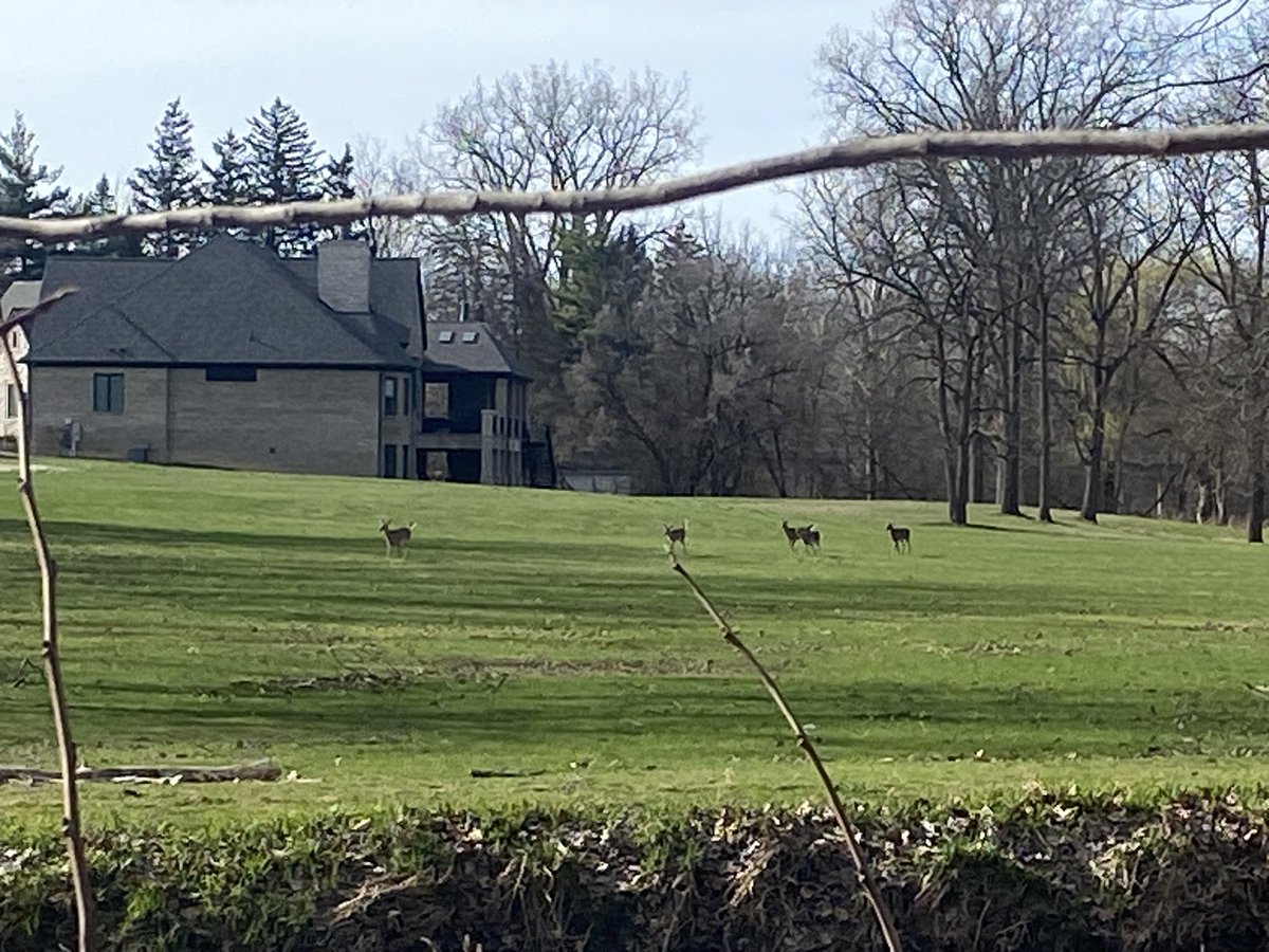 phase 3 gorillaz 2doc cuck porn... 🌱🚸📵🚭🚱 tweet media