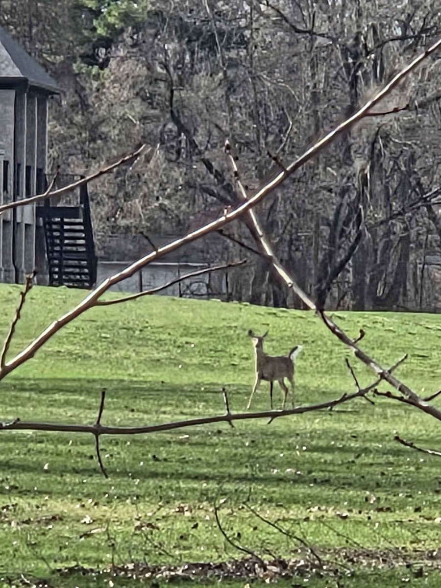 phase 3 gorillaz 2doc cuck porn... 🌱🚸📵🚭🚱 tweet media