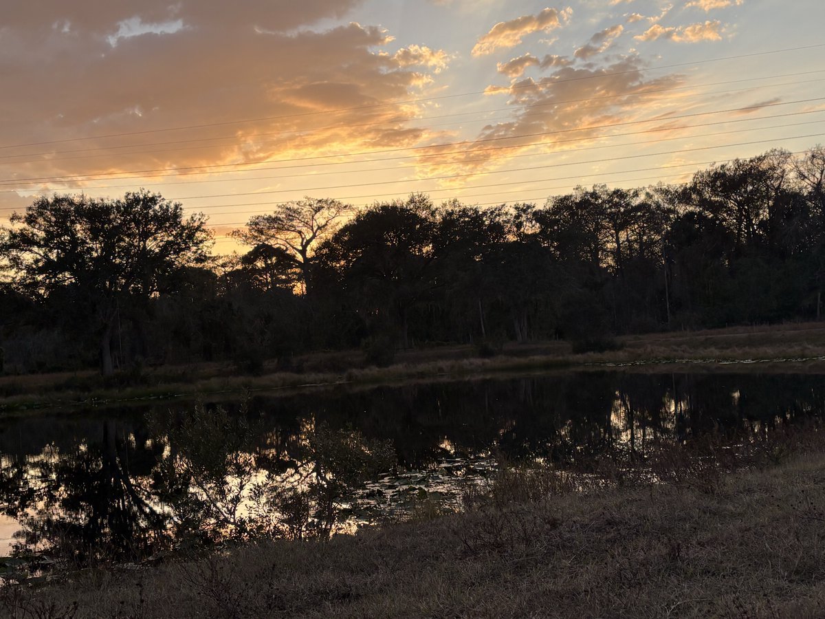 Claire Hair tweet media