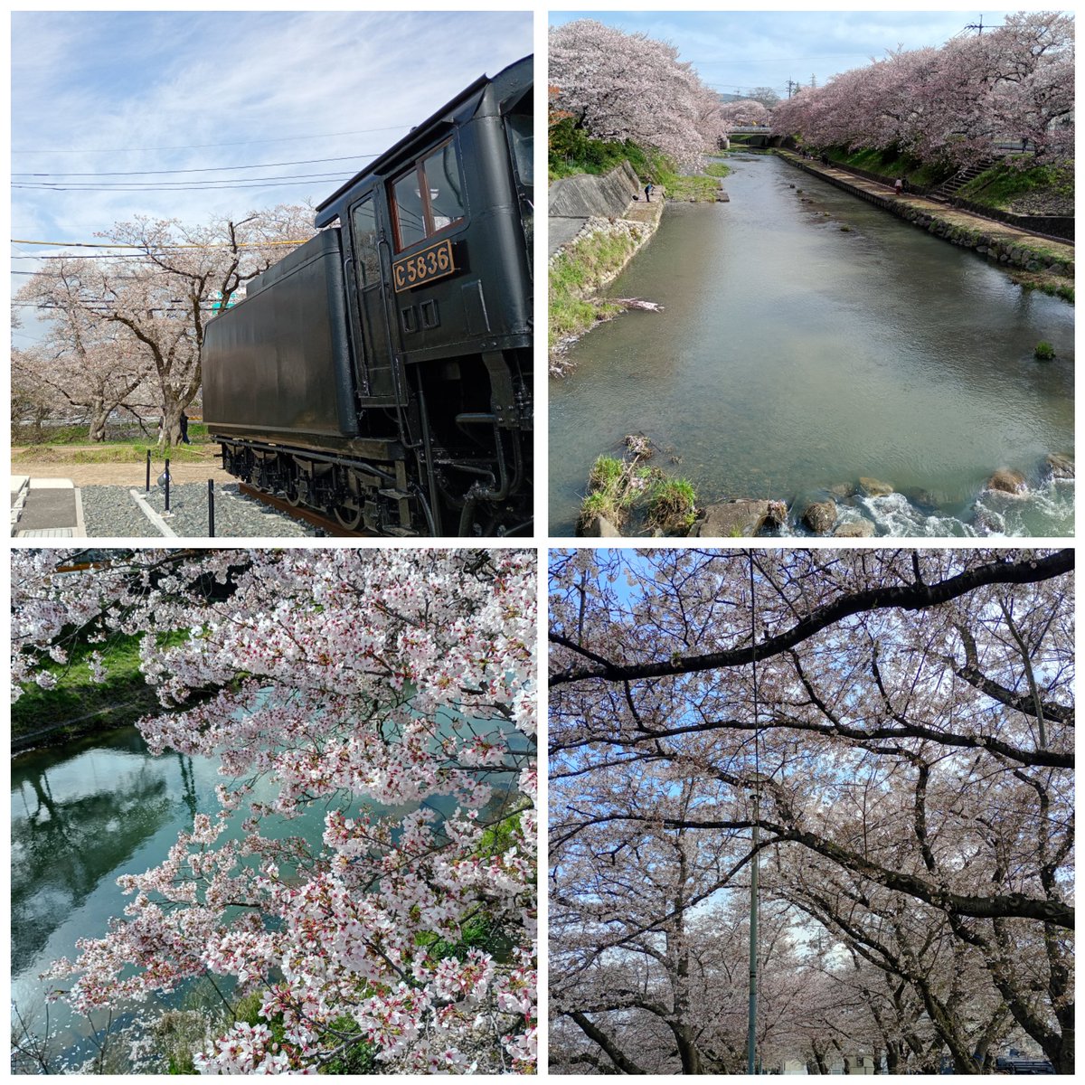 テニヌのおぢ様ザクさん tweet media