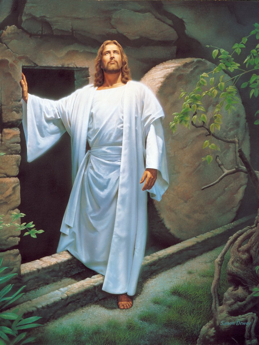 Ulisses Soares tweet media