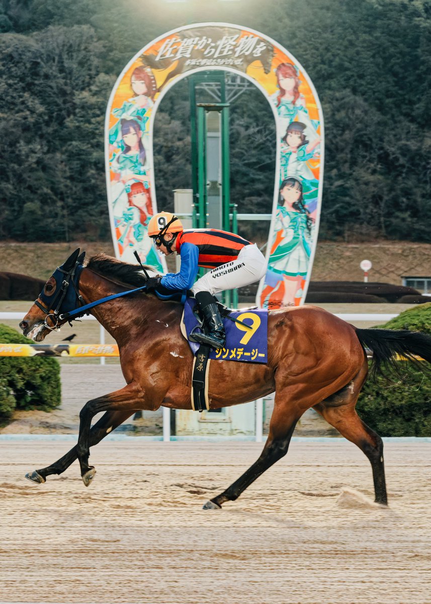 蟲野郎@🏇佐賀競馬写真部🏇 tweet media