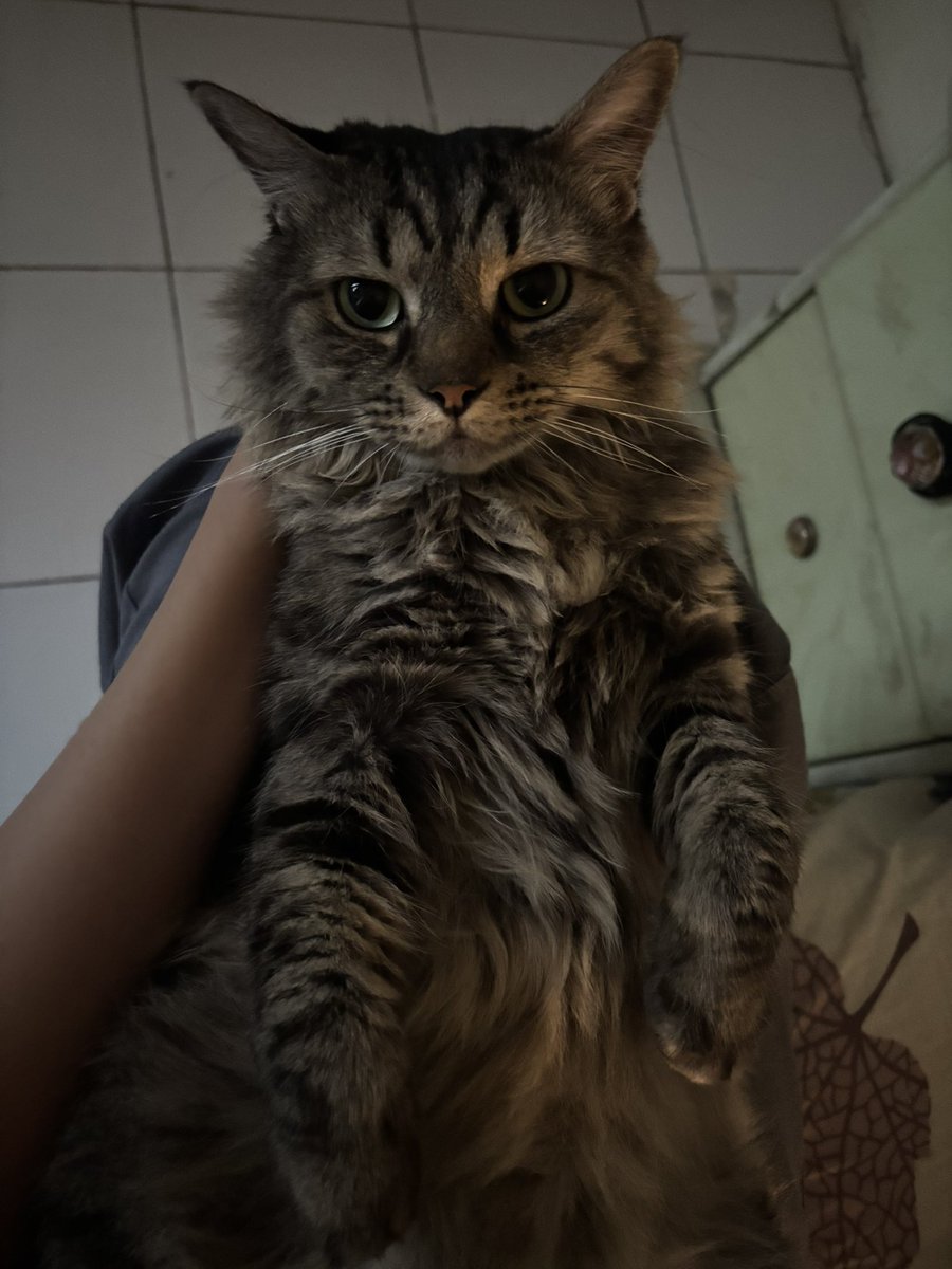 Micky and Friends tweet media