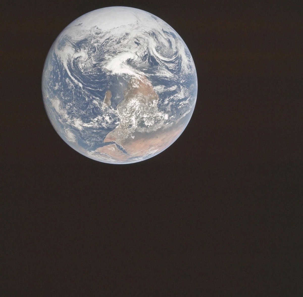 MandarOfThe5th tweet media