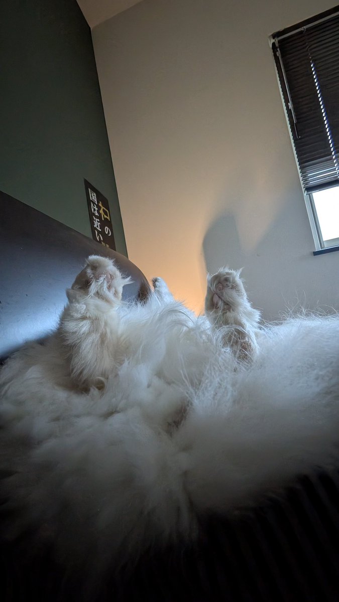 磯山 Ｑ太郎 tweet media