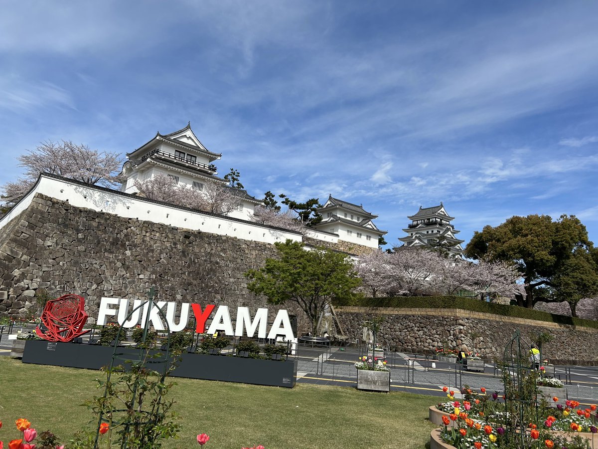 motoki@もっきー@もきパパ tweet media