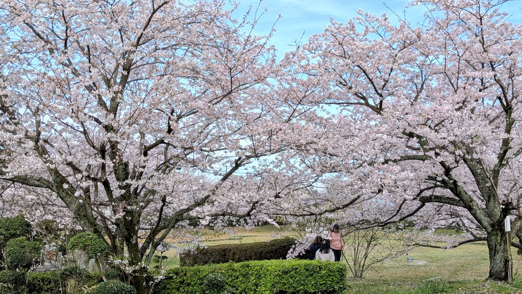 OMOっさん💃 tweet media