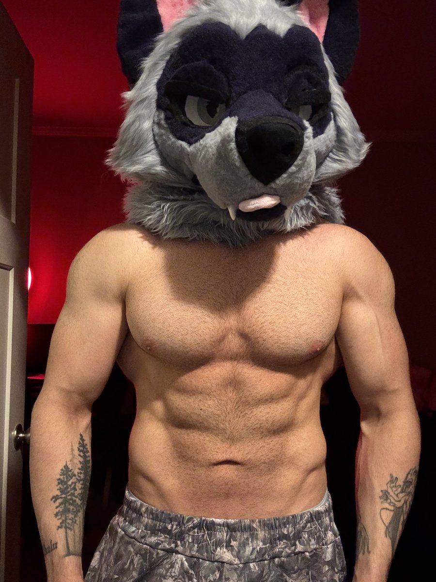 Aries 🔜 FWA tweet media