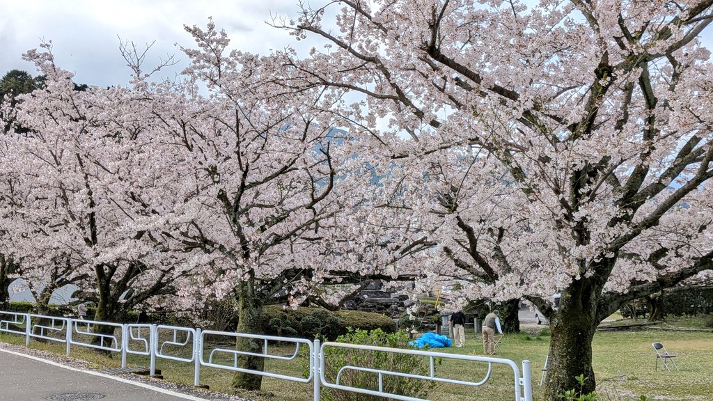 OMOっさん💃 tweet media