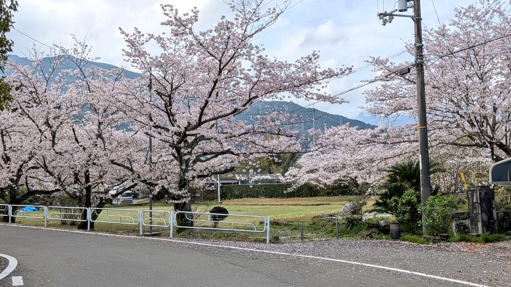 OMOっさん💃 tweet media