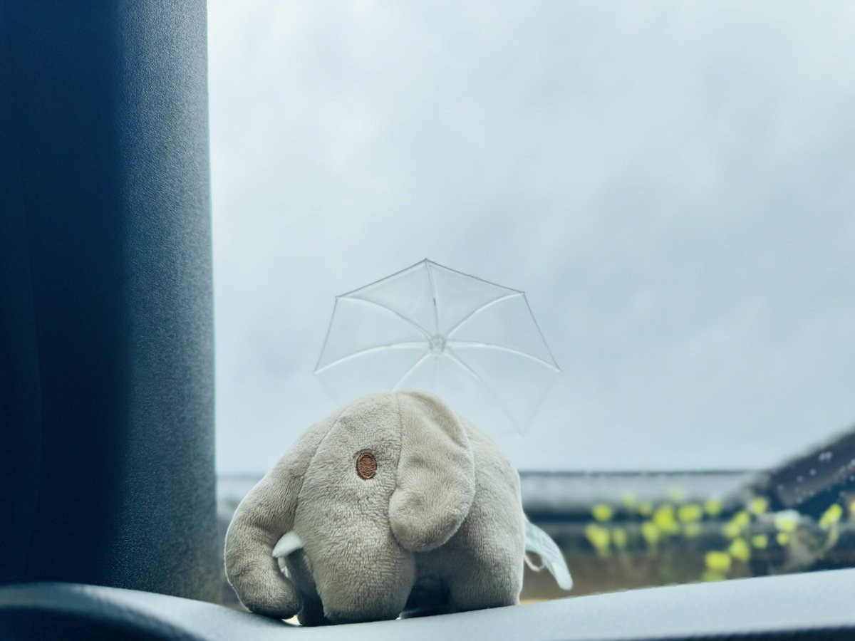 うーさーず tweet media