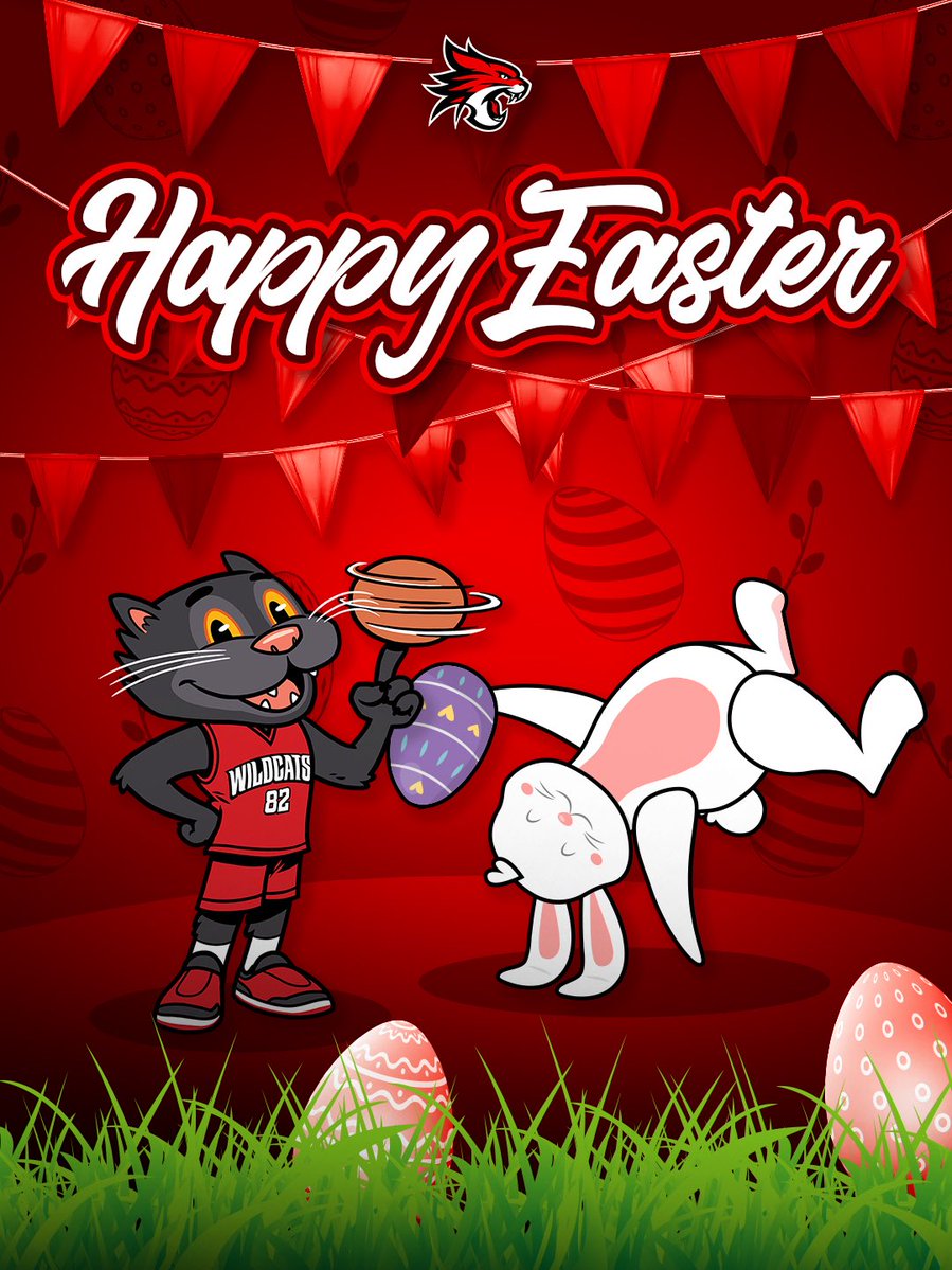 Perth Wildcats tweet media