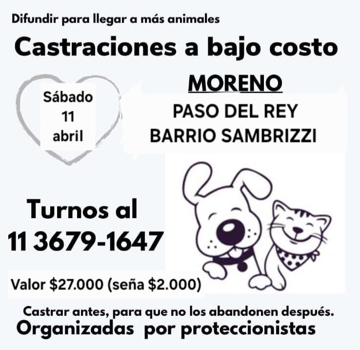 protegealanimal's tweet image. MORENO
#MORENO #LASCATONAS #SANJORGE #LOMASDEMARILÓ #JARDINES1 #LAPERLITA #SAMBRIZZI #ELCAÑÓN #LASFLORES #SANTABRÍGIDA #PASODELREY #MIRASOLES #TRUJUI #TRUJUY #RIFIFI #MIBARRIO #CUARTELV #LAREJA #VILLASALAS #LASLILAS #BARRIOPARQUE #FCOÁLVAREZ  #ZONAOESTE #GRANBSAS #BSAS #CONURBANO