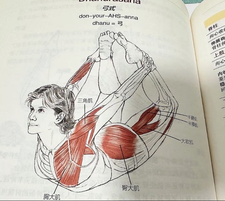 深夜にポテチちゃん tweet media