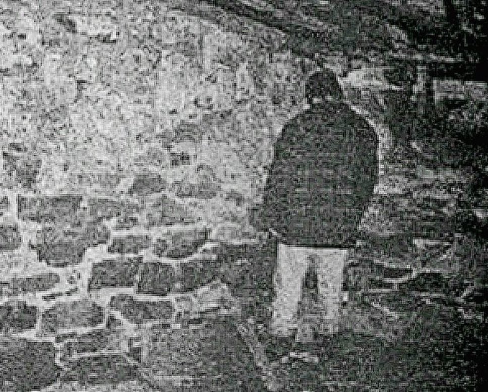 Cescontos | Canal Defenestra tweet media