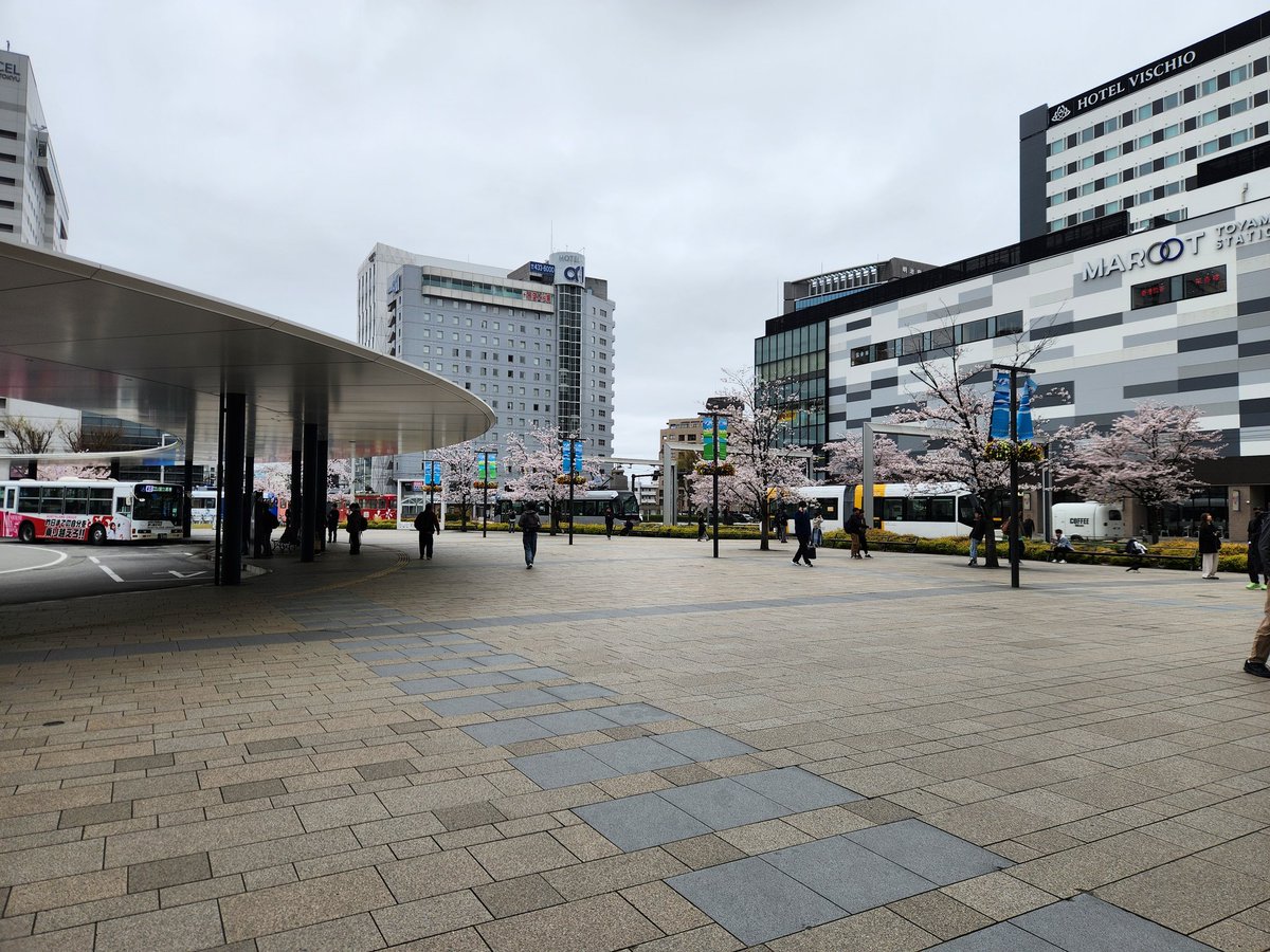 TOZAMA＠典雅～テンガ～　遣唐使　奈良サポ tweet media