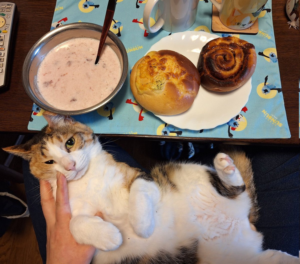 にこちゃまちゃんぬる tweet media