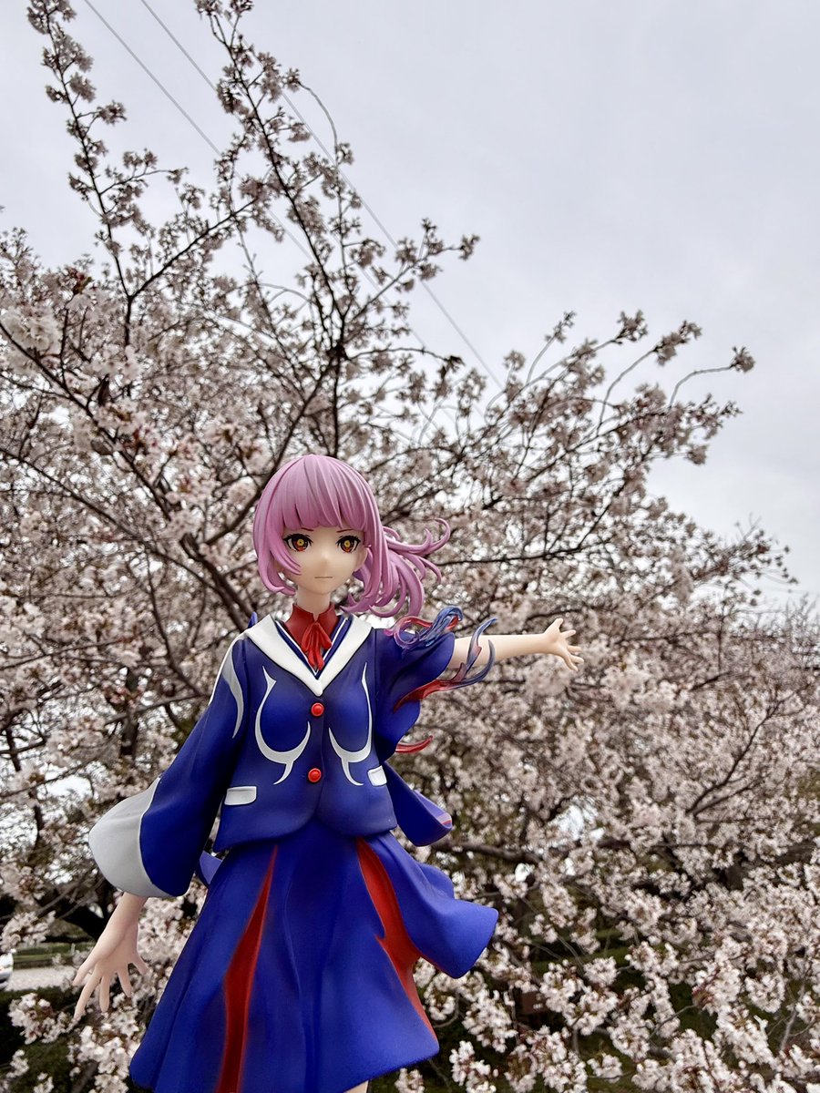 菊まん・EW tweet media