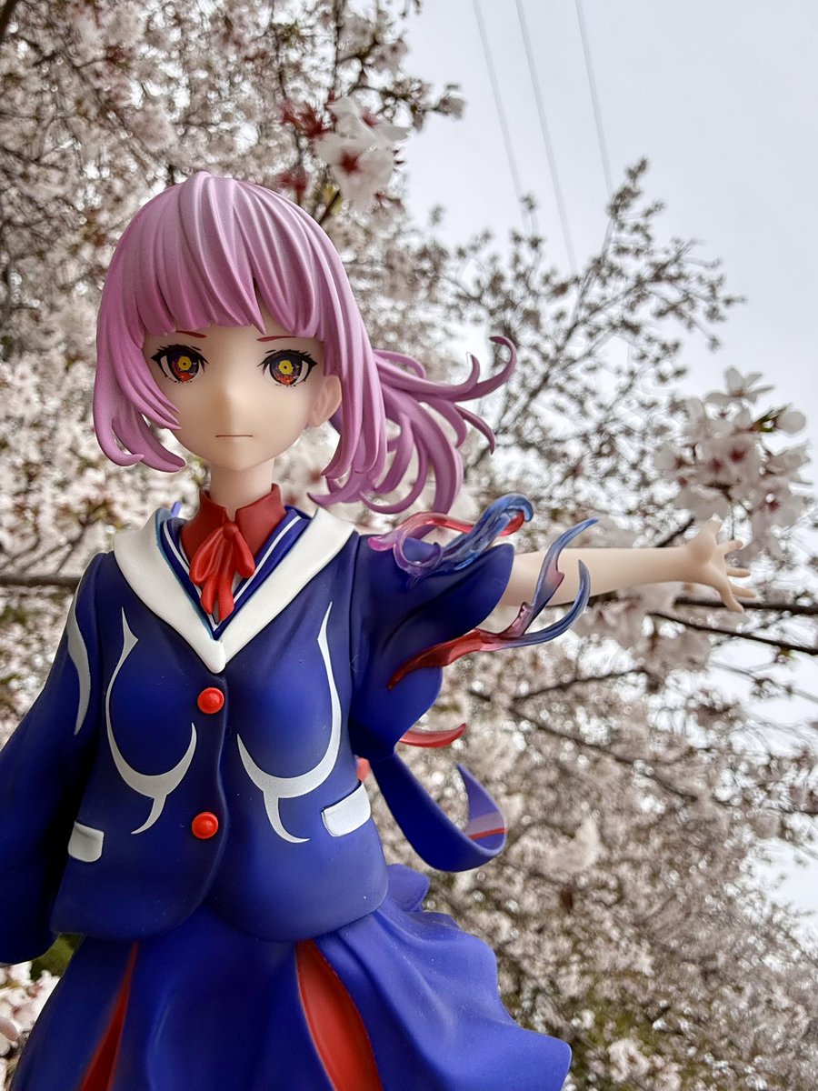 菊まん・EW tweet media