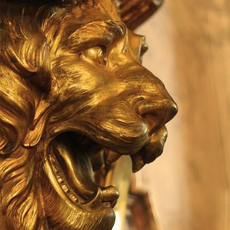 spectrum of feelings. tweet media