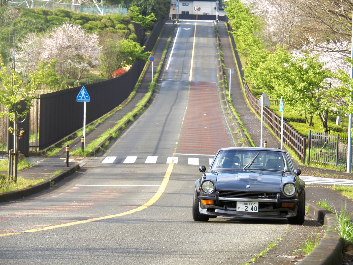 yasaimeijin0240's tweet image. 今朝はご近所ドライブ。🚗
桜🌸も終盤です。
#s30z #240z #桜