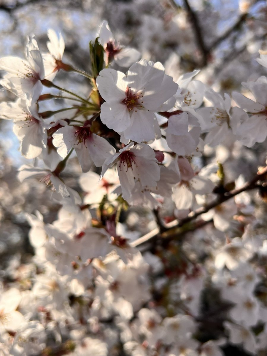 ういんど tweet media