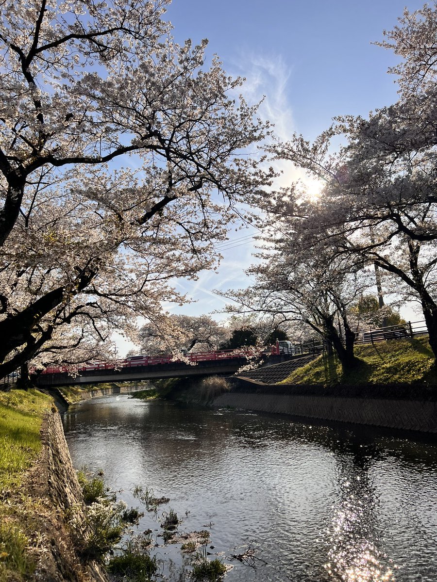 ういんど tweet media