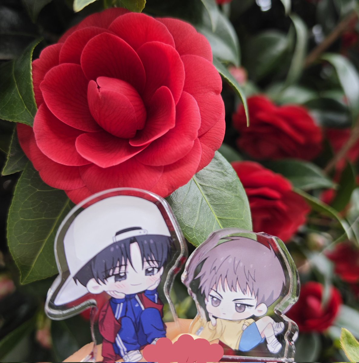 댕댕요 tweet media