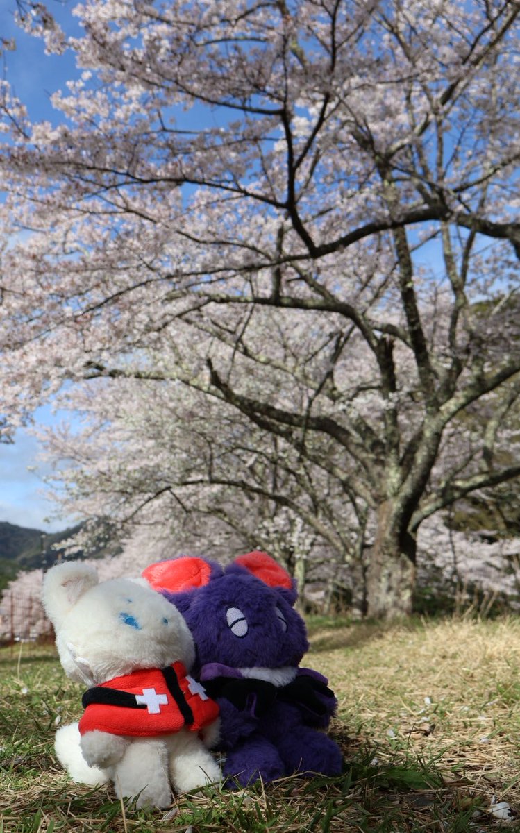 広瀬 梨有 tweet media