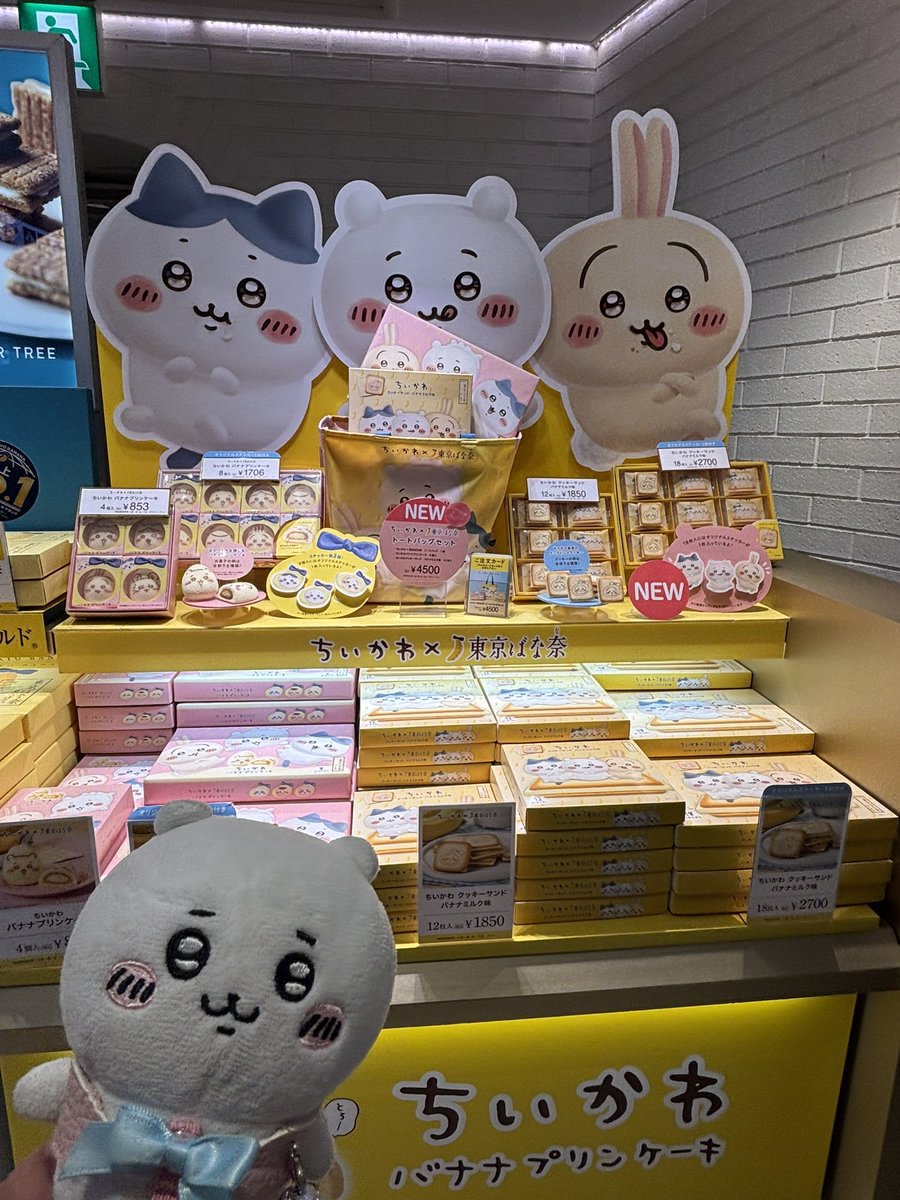 NAO104🙂フッ軽ちい活家(ᵔᴥᵔ) tweet media