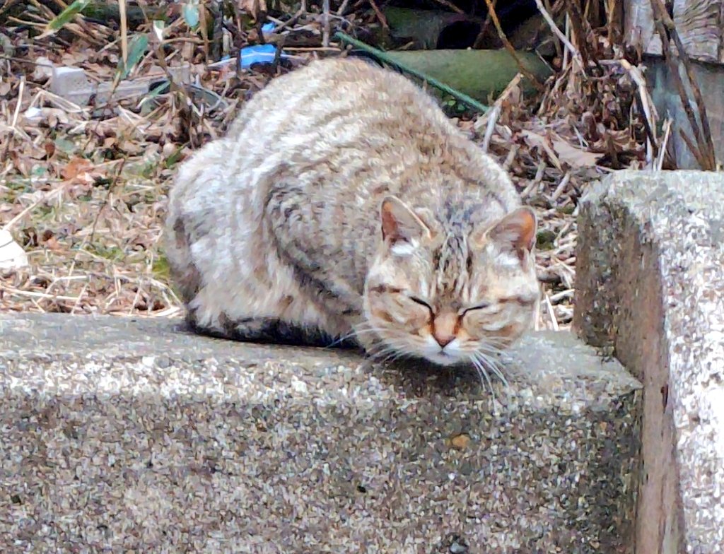 To.t(たあと)🧶🏺編み物と粘土 tweet media