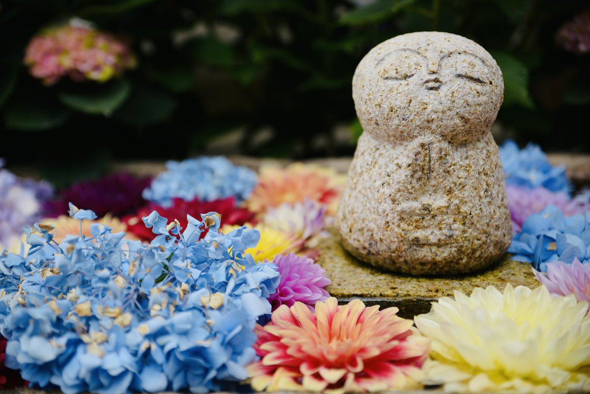 🐻ダッフィーらぶこもしか♂🙋♂️🐻 tweet media